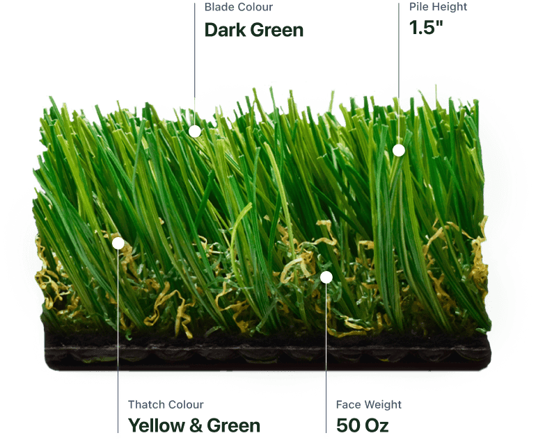 Spring Fescue®